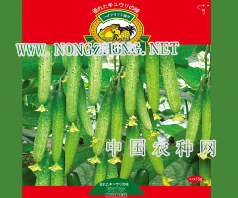 摘不败